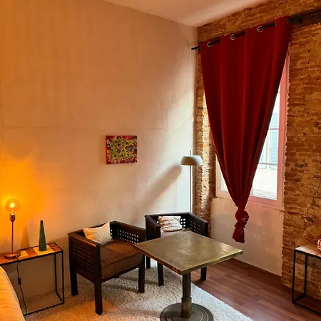 Privee Confort Centre Historique Lavaur (Tarn)